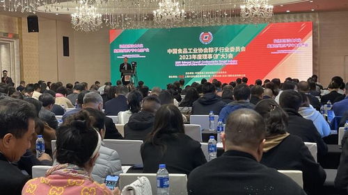 粽香飄四海，百億啟新程——2023全國(guó)粽子行業(yè)理事會(huì)擴(kuò)大會(huì)議暨文化藝術(shù)交流活動(dòng)圓滿召開(kāi)